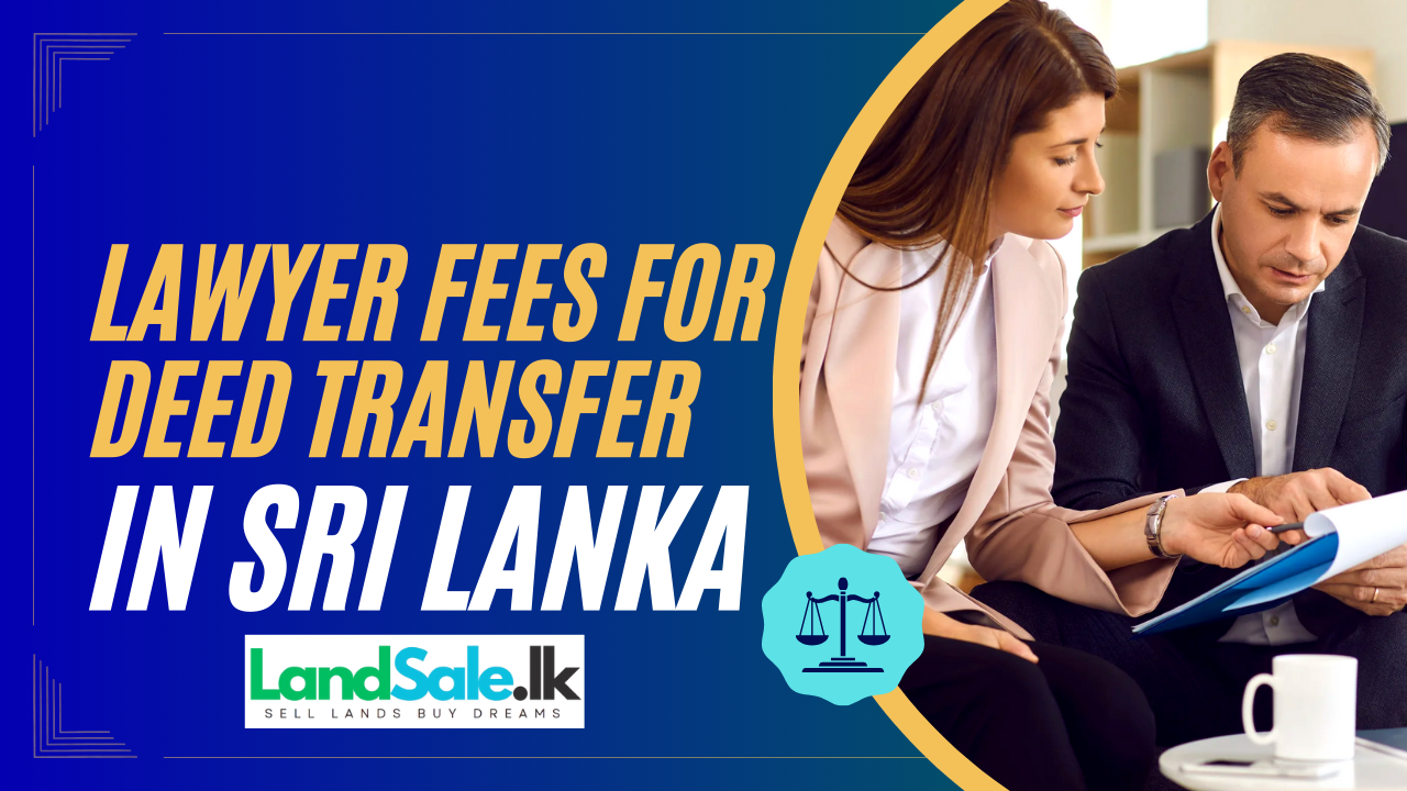 Land for Sale Near Me: A Comprehensive Guide to Sri Lanka's Real Estate Market and Key Investment Hubs