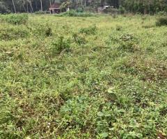 Horana Malagala Property for Sale - 2