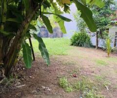 Land for Sale in Wattala - 3
