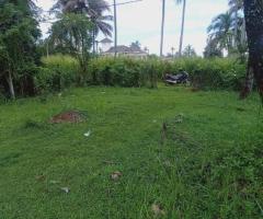 Land near Dambulla Road - 3