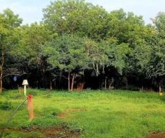 House with land near Katharagama main road - 2