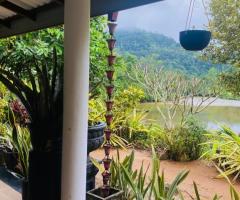 Tea land for sale near Kalawana - 3