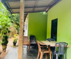 Tea land for sale near Kalawana - 4