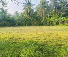 Prime 40-Perch Land for Sale in Buttala