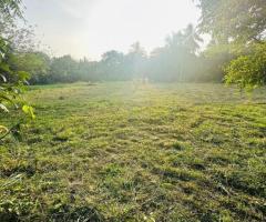 Prime 40-Perch Land for Sale in Buttala - 2