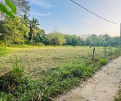 Prime 40-Perch Land for Sale in Buttala - 3