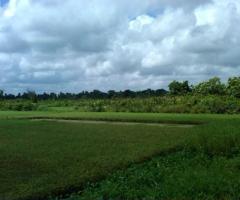 Lakefront Land for Sale – 14 Perches in Bolgoda