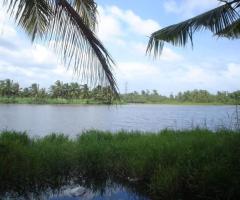 Lakefront Land for Sale – 14 Perches in Bolgoda - 4
