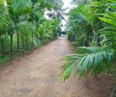 House for Sale in Vavuniya – 9 km from the Roundabout - 3