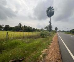 Real estate in Manarkadu - 2