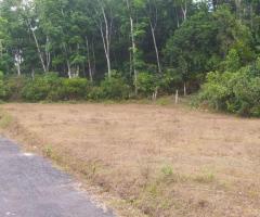 Land for Sale in Kiriwathuduwa - 2