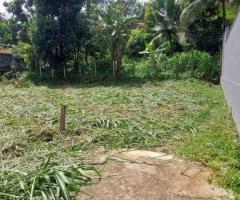 Prime 11-Perch Residential Land for Sale – Includes Renowned Architect-Designed Plan!