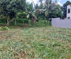 Prime 11-Perch Residential Land for Sale – Includes Renowned Architect-Designed Plan! - 3