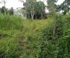Prime Land Opportunity: 880 Perches Land for Sale in Nawala
