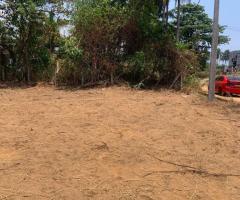 Prime Residential Land for Sale Near Pinwattha Railway Station - 3