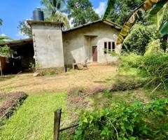 Land for Sale in Gampaha, Delgoda – Affordable Price!
