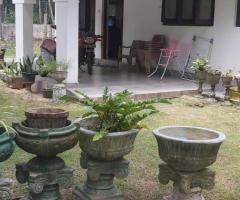 Land and House for Sale in Negombo Mountains – Prime Location!