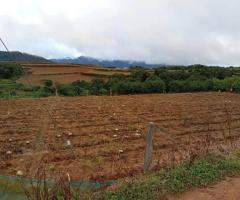 Scenic Plot for Sale Near Nuwara Eliya