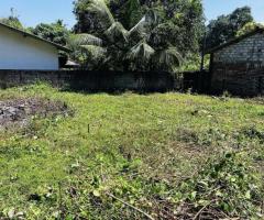 Land for Sale in Gampaha