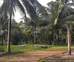 0 Acres of Coconut Land for Sale in Pannala