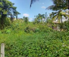 20 Perches with Coconut Trees Galigamuwa - 3