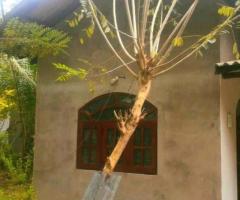 House for Sale in Divulapitiya, Maradagahamula