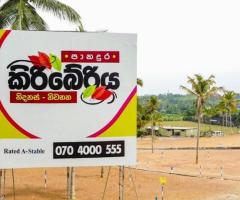 Autumn Luster by Prime Group - Prime Land in Panadura