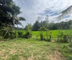 Prime Land for Sale – Ideal for a Villa in Mirissa, Weligama