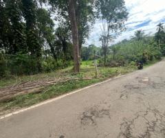 Prime Land for Sale – Ideal for a Villa in Mirissa, Weligama - 3