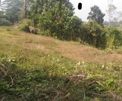 Land for Sale – 10 Perches in Karanagoda, Horana