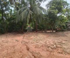 Land Sale in Gampaha Buthpitiya - 2