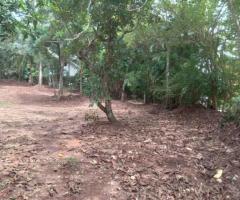 Land Sale in Gampaha Buthpitiya - 3