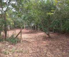 Land Sale in Gampaha Buthpitiya - 4