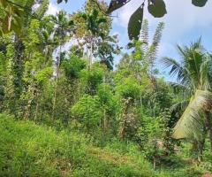 Prime Agricultural Land for Sale in Biridawela, Matale