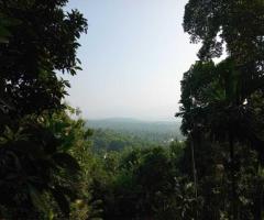 Prime Agricultural Land for Sale in Biridawela, Matale - 2