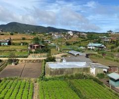 45-Perch Land for Sale in Meepilimana, Nuwara Eliya – Ideal for Cabanas & Tourism - 3