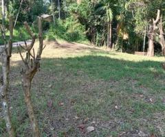 24-Perch Land for Sale Near Kandy – Prime Location - 3