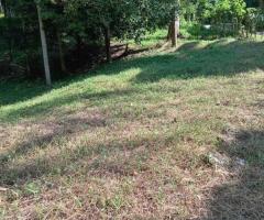 24-Perch Land for Sale Near Kandy – Prime Location - 4