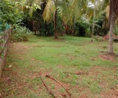 Valuable 60Perch Property for Sale in Kochchikade ndash Katana Residential and Commercial Potential - 2