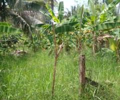 Land for sale close to the kurunegala highway - 3