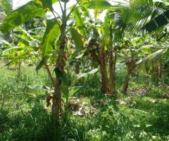 Land for sale close to the kurunegala highway - 4