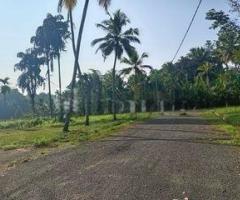 Prime Land for Sale in Bogahagoda Galle Facing a Beautiful Paddy Field