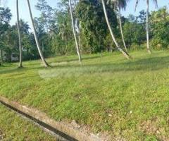 Prime Land for Sale in Bogahagoda Galle Facing a Beautiful Paddy Field - 2