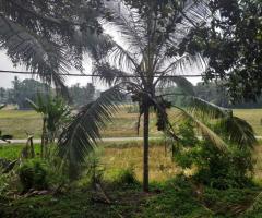 Prime 62 Perch Land for Sale Near Unawatuna Ideal for a Villa