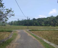 Prime 62 Perch Land for Sale Near Unawatuna Ideal for a Villa - 2