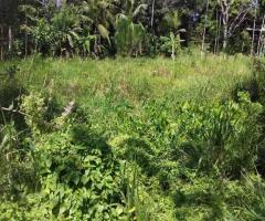 Prime 62 Perch Land for Sale Near Unawatuna Ideal for a Villa - 4