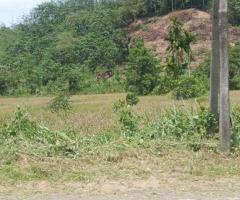Expansive 920 Perch 6 Acre Land for Sale on PanaduraRatnapura Road Ideal for Development