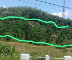 Expansive 920 Perch 6 Acre Land for Sale on PanaduraRatnapura Road Ideal for Development - 3