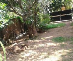 Charming SingleStory House for Sale in Moratuwa 135 Perches with Approved Plans - 2