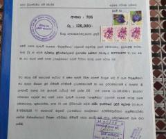 Prime Land for Sale on MoneragalandashAmpara Road Facing Main Road